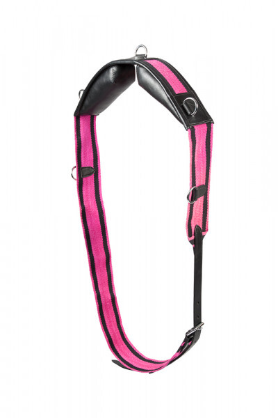 PFIFF Mors Espagnol Droit à Passes En Inox Argent 12,5 Cm