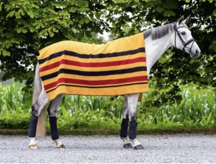 Drap D'exercice Shires Newmarket - 100% Laine - Taille 48'' - Rayures Dorées - Neuf